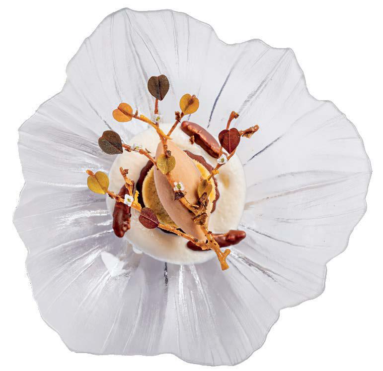 A Sky Full Of (Michelin) Stars